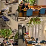 西湖边我坠爱的Brunch！！奶油烩饭真的是一绝