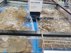 -盒马X会员店(王府井奥莱UP TOWN店)