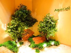 门面-天津水游城丽筠酒店