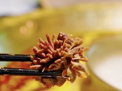 -新哥老官·畅吃123·美蛙世界(苏宁广场店)