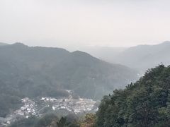 -龙井村