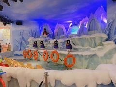 -帝企鹅自助餐厅•儿童岛•真企鹅(长隆企鹅酒店)