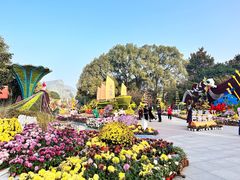-南山植物园