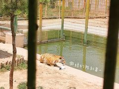 -中华郡文化旅游景区