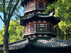 -上海佘山国家森林公园西佘山园