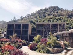 -看见远方·莫干遥远的山民宿