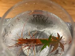 -水之惠鲜鱼料理(王府大街店)