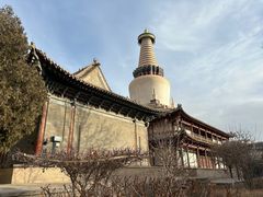 -张掖大佛寺景区