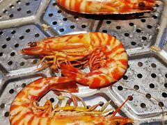 -越百海海鲜蒸锅(乐山店)