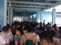 -芜湖新华联大白鲸海洋公园