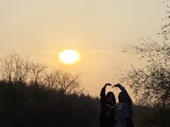 -黄海国家森林公园