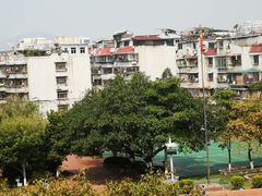 -福建省厦门第六中学东渡校区