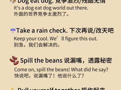 -英孚教育青少儿(高新公园茂中心)