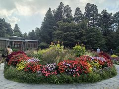 -庐山风景区花径公园