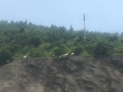 -816工程景区