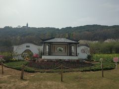 -苏州上方山国家森林公园