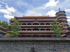 -天目山大树王景区