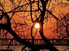 -宝安西湾红树林湿地公园