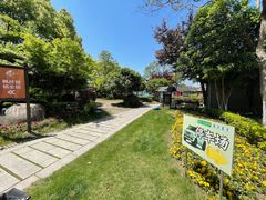 -金山农民画村-枫泾波兰倒置屋