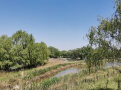 -野鸭湖国家湿地公园