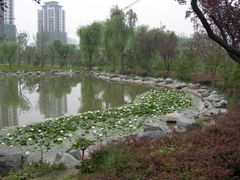 -木塔寺遗址生态公园