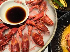 经典冰镇龙虾-红盔甲·小龙虾(人民广场店)