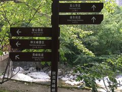 -青峰峡国家森林公园