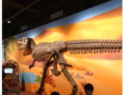 -北京科学中心儿童乐园