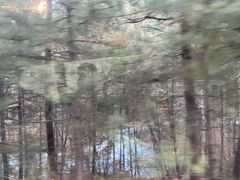 -九寨沟-树正沟