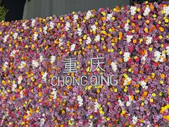 -观音桥步行街