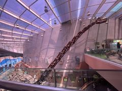 -陕西自然博物馆