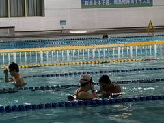 -南山文体中心-游泳馆