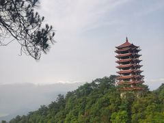 -缙云山景区