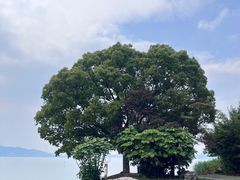 -东钱湖旅游度假区