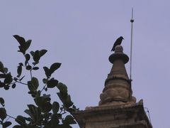 -北京石刻艺术博物馆(五塔寺)