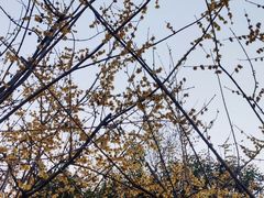 -莲湖公园