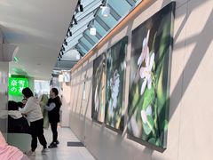 -奈雪的茶(赛格店)