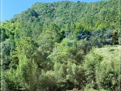-大明山自然探索公园