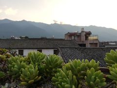 -喵屿·大理花园猫咖