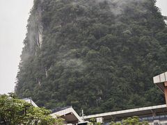 -谢大姐非遗啤酒鱼(君豪店-黑金店)