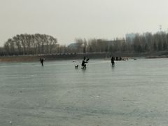 -丁香湖公园