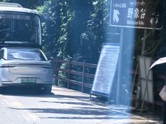 -野象谷景区