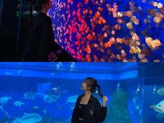 -成都浩海立方海洋公园