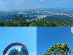 -黄埔油麻山森林公园