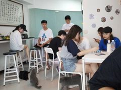 -我爱猫咪·猫咖·狗咖·安哥拉兔·羊驼咖(小寨华旗店)