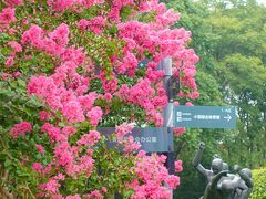 -杭州城北体育公园