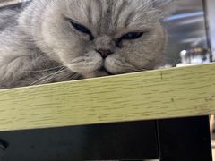 -Oasis绿洲银饰珍珠手作diy(壹方城店)