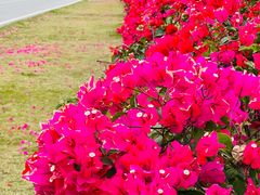 -露天矿生态公园