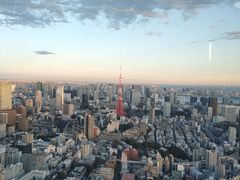 -六本木新城展望台(东京城市景观)