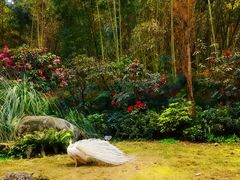 -川匠·睡眠采耳·SPA(九眼桥店)